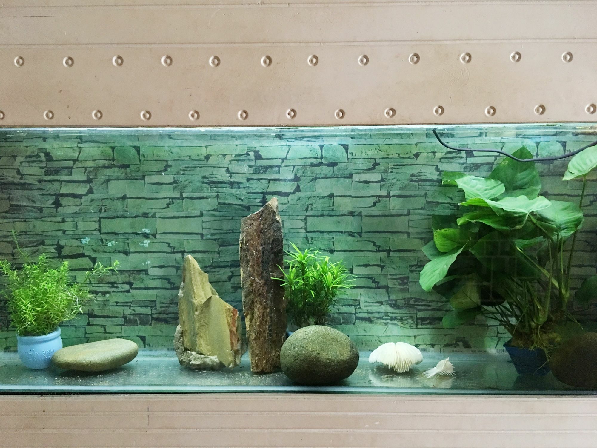 Ha My Guesthouse دا نانغ المظهر الخارجي الصورة